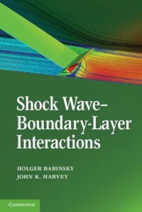 Image of Shock Wave-Boundary-Layer Interactions