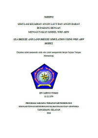 Image of SIMULASI KEJADIAN ANGIN LAUT DAN ANGIN DARAT DI PADANG DENGAN MENGGUNAKAN MODEL WRF-ARW
